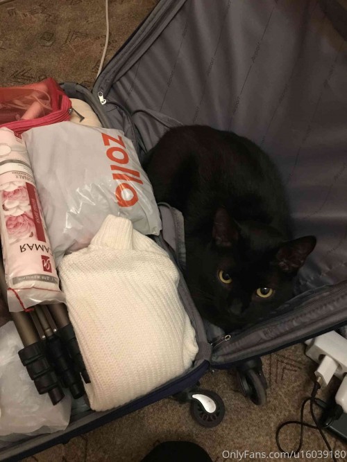 kanra cosplay 08 01 2020 18363225 I m trying to pack my luggage and look what happens